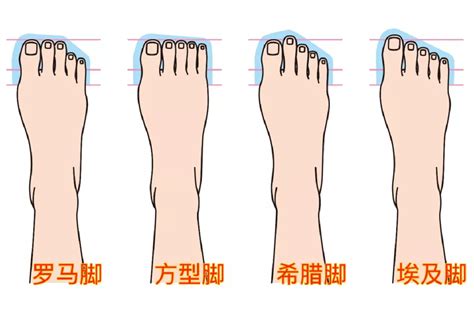 腳形 性格|通過腳型了解性格，你屬於四種中的哪一種？